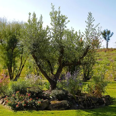In France Near & Private Pool Англе